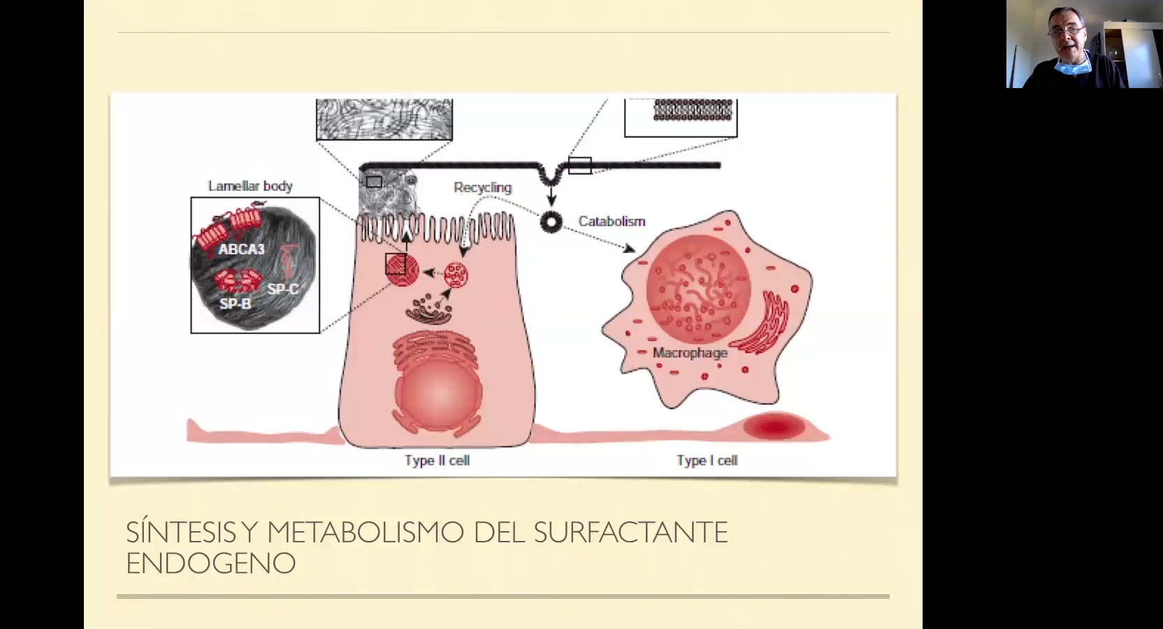 5 Administración de surfactante. Parte 1