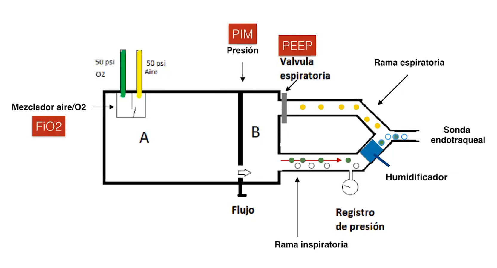 5 Ventilación invasiva 1